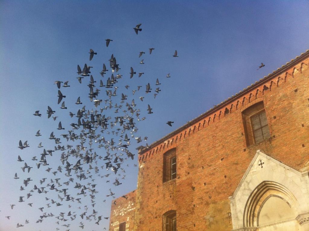 La Locanda Di San Francesco Montepulciano Phòng bức ảnh